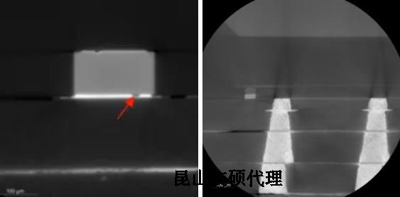 株洲蔡司株洲X射线显微镜